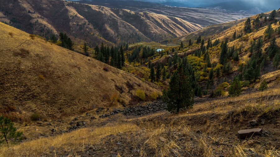 Nez Perce National Historical Park