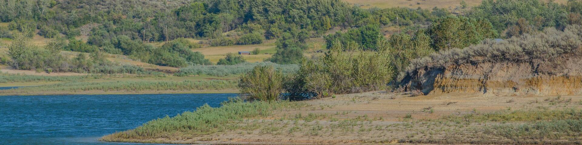 A river with hills and trees in the background.