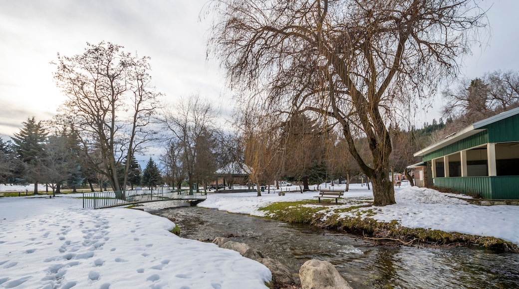 拉斯德鲁姆山公园
