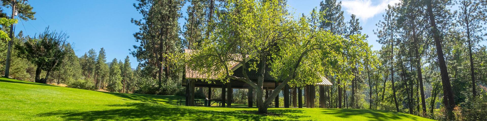 Un kiosque se dresse dans un champ verdoyant, entouré de grands arbres.