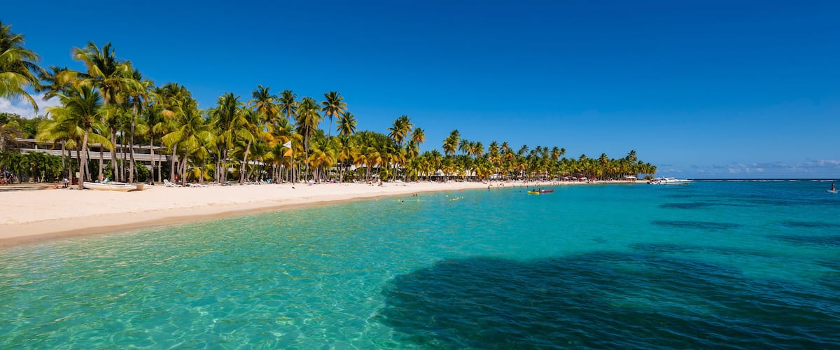 A beach with clear turquoise water, palm trees, and a white sandy shore.