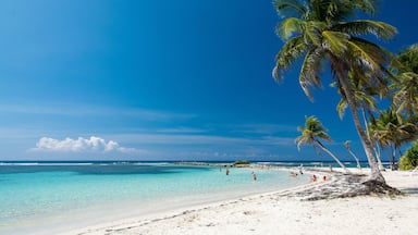 Sainte-Anne