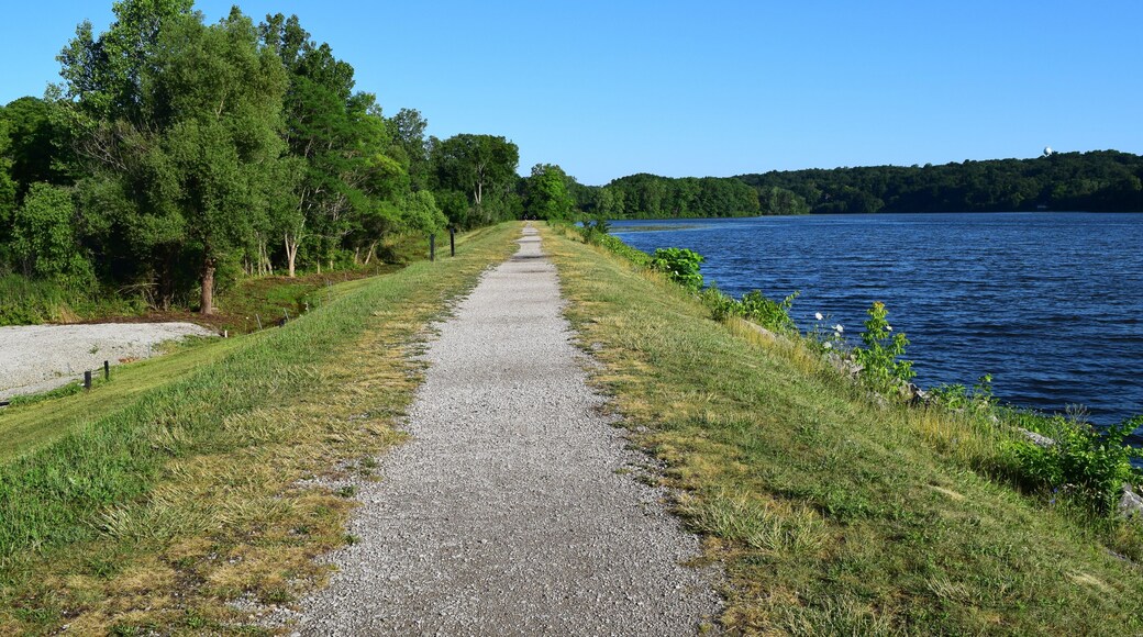 Barton dam, Ann Arbor. Summer landscape with a long riverside walkway beside Huron river