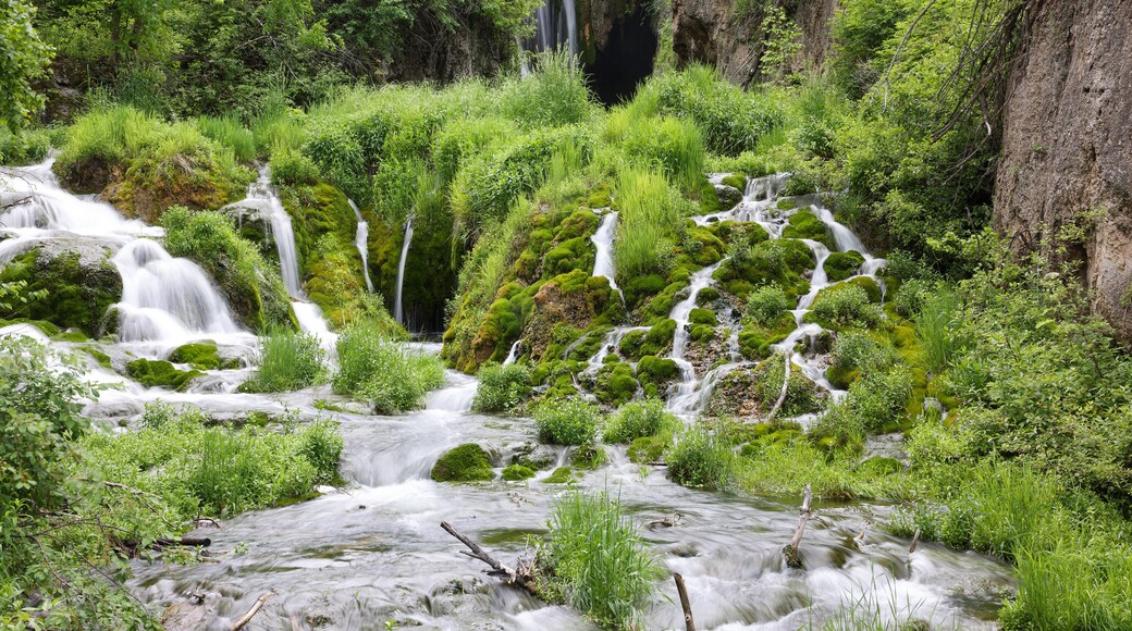 Roughlock Falls in Spearfish Canyon State Nature Area, Lead, South Dakota