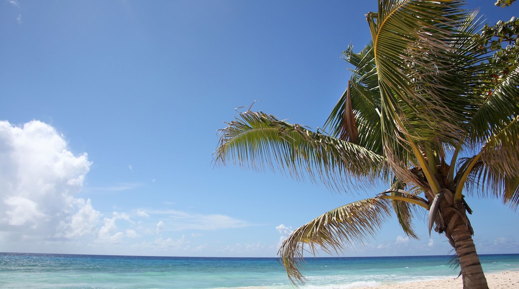 Beautiful turquoise sea & golden sand on the beach, Falmouth, Jamacia.