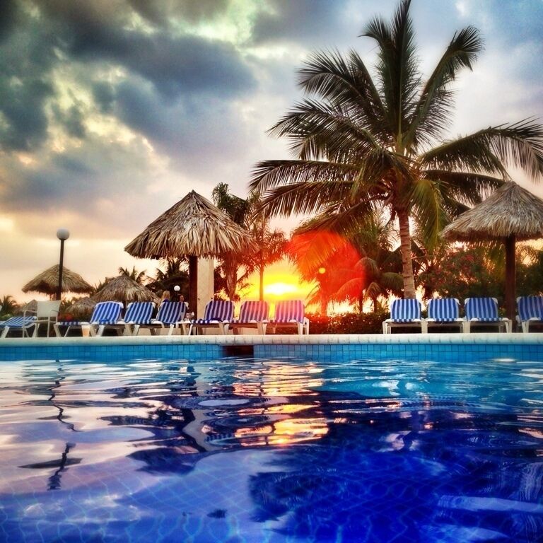 A swimming pool with lounge chairs and palm trees.