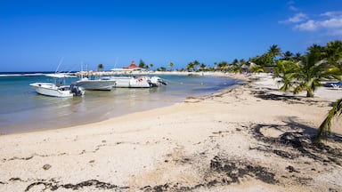 Jamaica, Runaway Bay, beach with motorboats; Shutterstock ID 390700726; Purchase Order: -