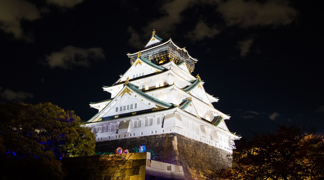 Osaka castle in the night