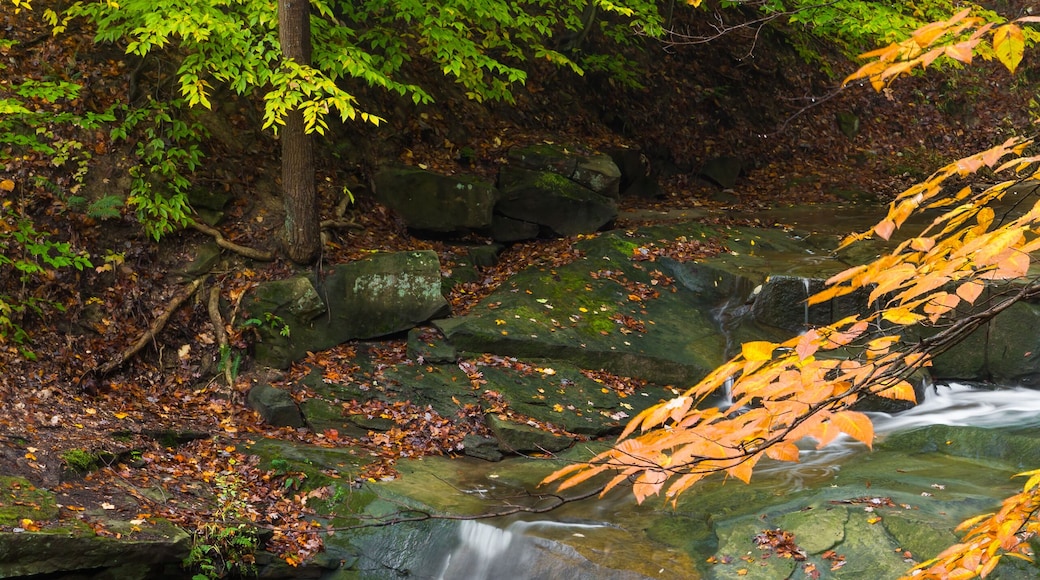 Ohio's Blue Hen Falls