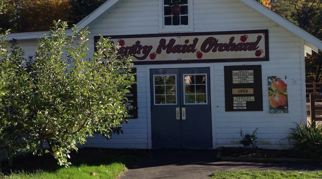 After a day hiking or biking around Cuyahoga National Park, you'll definitely want to stop here for some orchard produce and amazing ice cream.