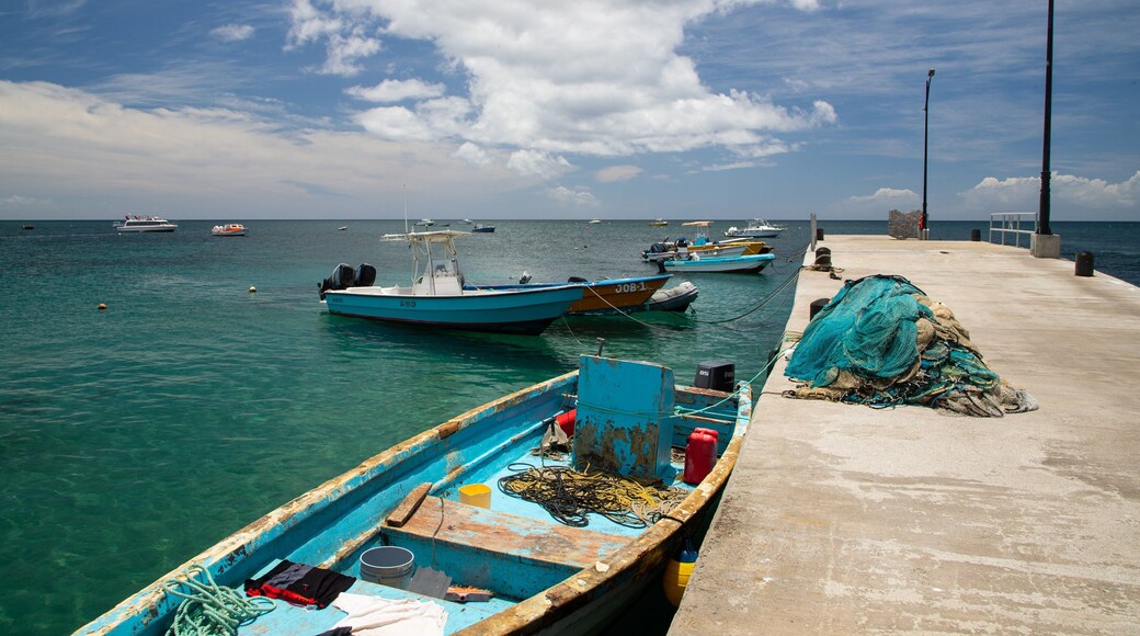 Charlestown which includes a bay or harbor and general coastal views