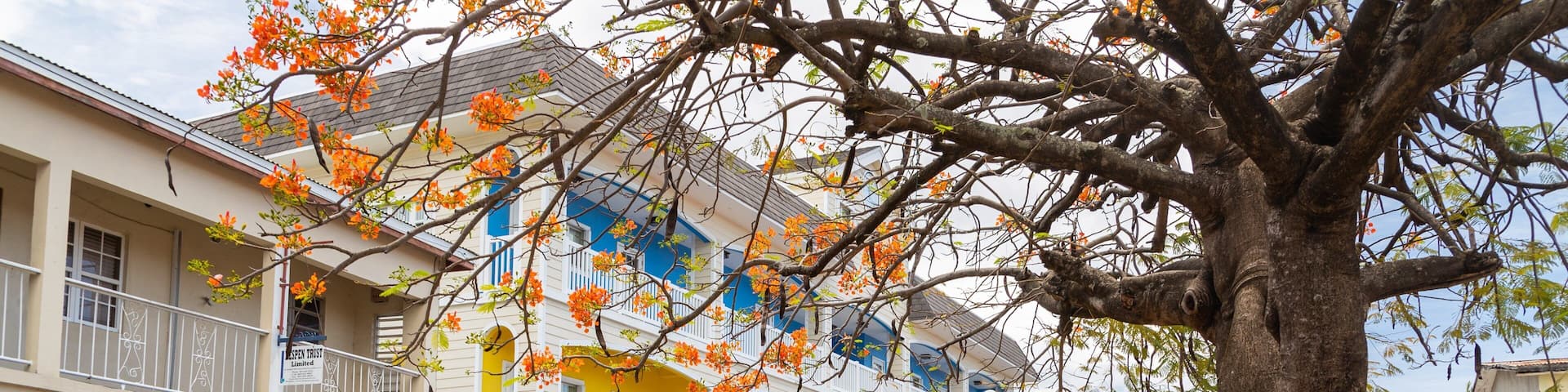 A colorful building with balconies, a tree in the foreground, and a 'No Entry' sign.