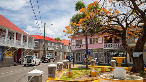 Charlestown featuring a small town or village