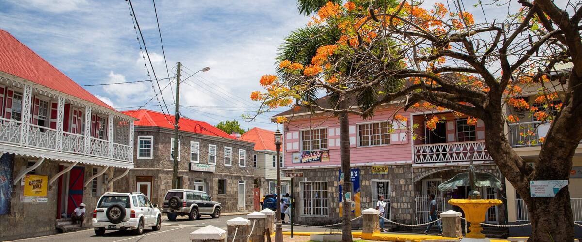 A street with buildings, a tree with orange flowers, and a fountain.