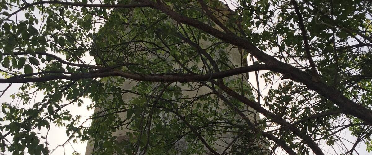 A tall, weathered stone structure with overgrown branches and leaves.