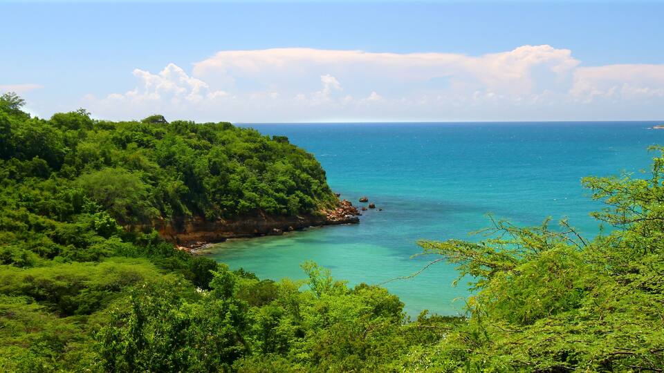A coastal landscape with dense green foliage and a clear blue sea.