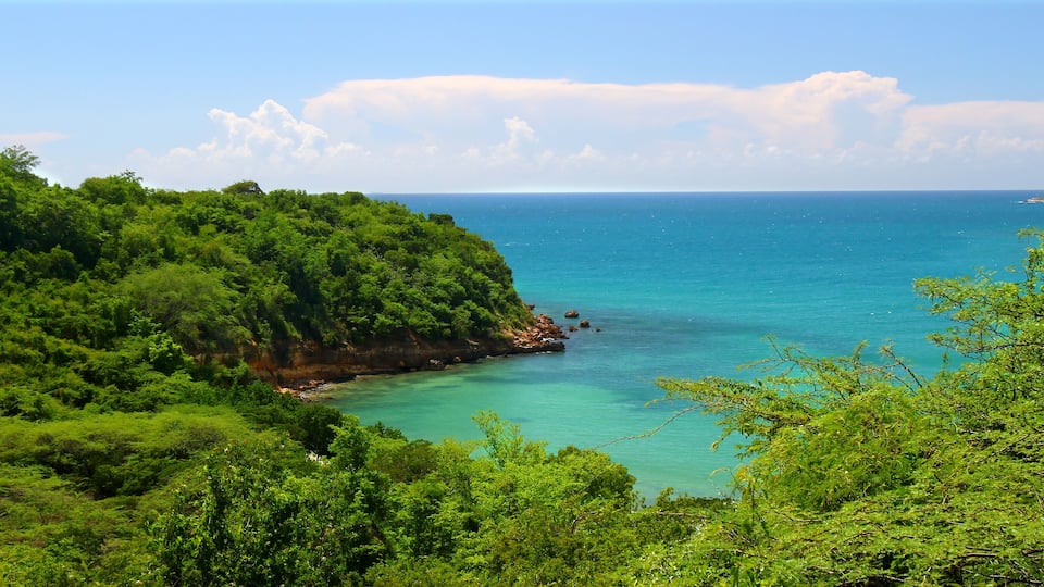 A coastal landscape with lush green vegetation and a clear blue sea.