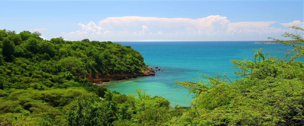 A coastal landscape with lush green vegetation and a clear blue sea.