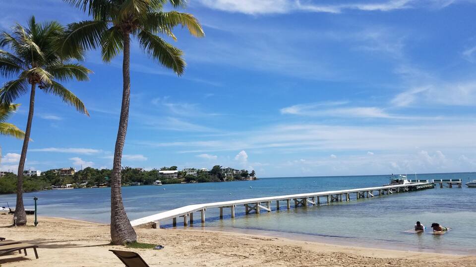 A beach with palm trees, a pier extending into the water, and a boat docked nearby.