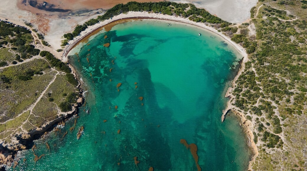 Guanica