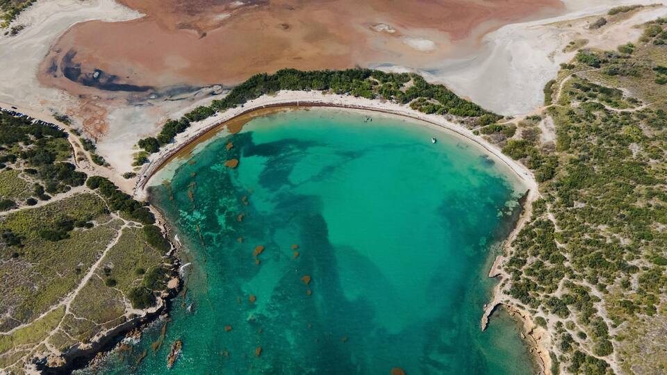 Turquoise sea washing shore with plants