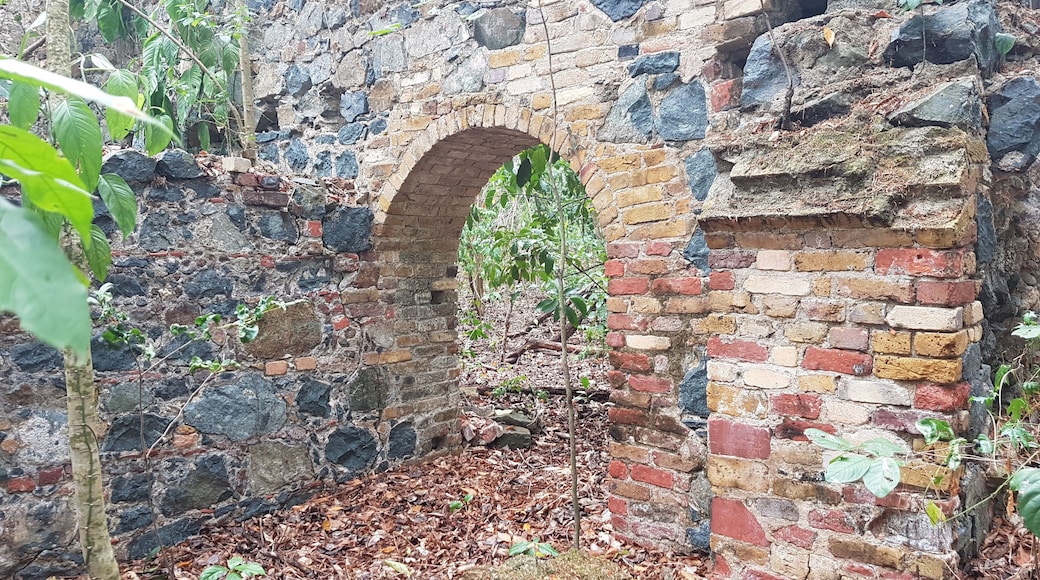 Ruins of sugar and rum factory, 1800