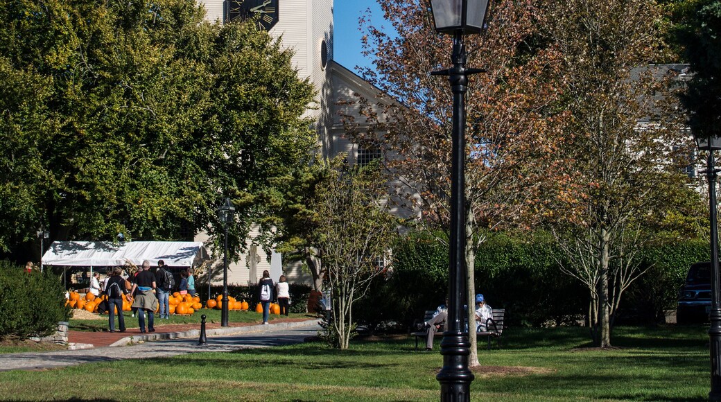 Park mit "Trinity Church" von Newport in den USA.