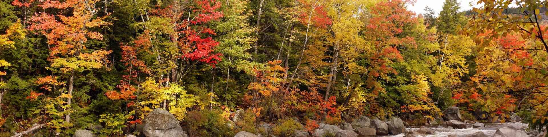 River near Conway, New Hampshire, United States. In the fall