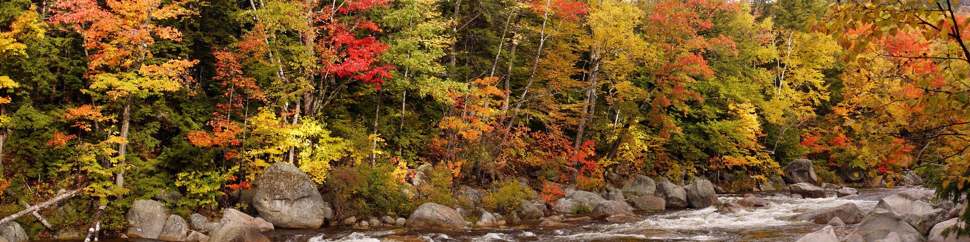 River near Conway, New Hampshire, United States. In the fall