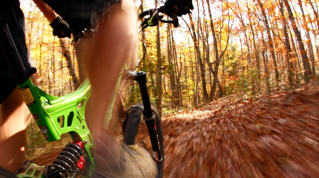 Fayetteville Town Park