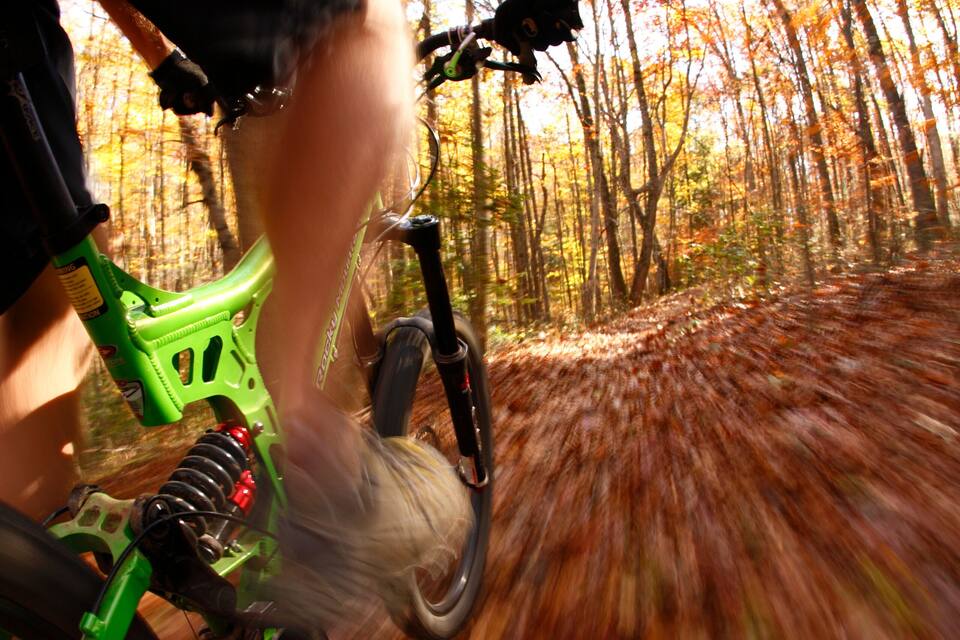 Una persona pedala su una bicicletta verde in una foresta, con foglie autunnali sparse sul terreno.