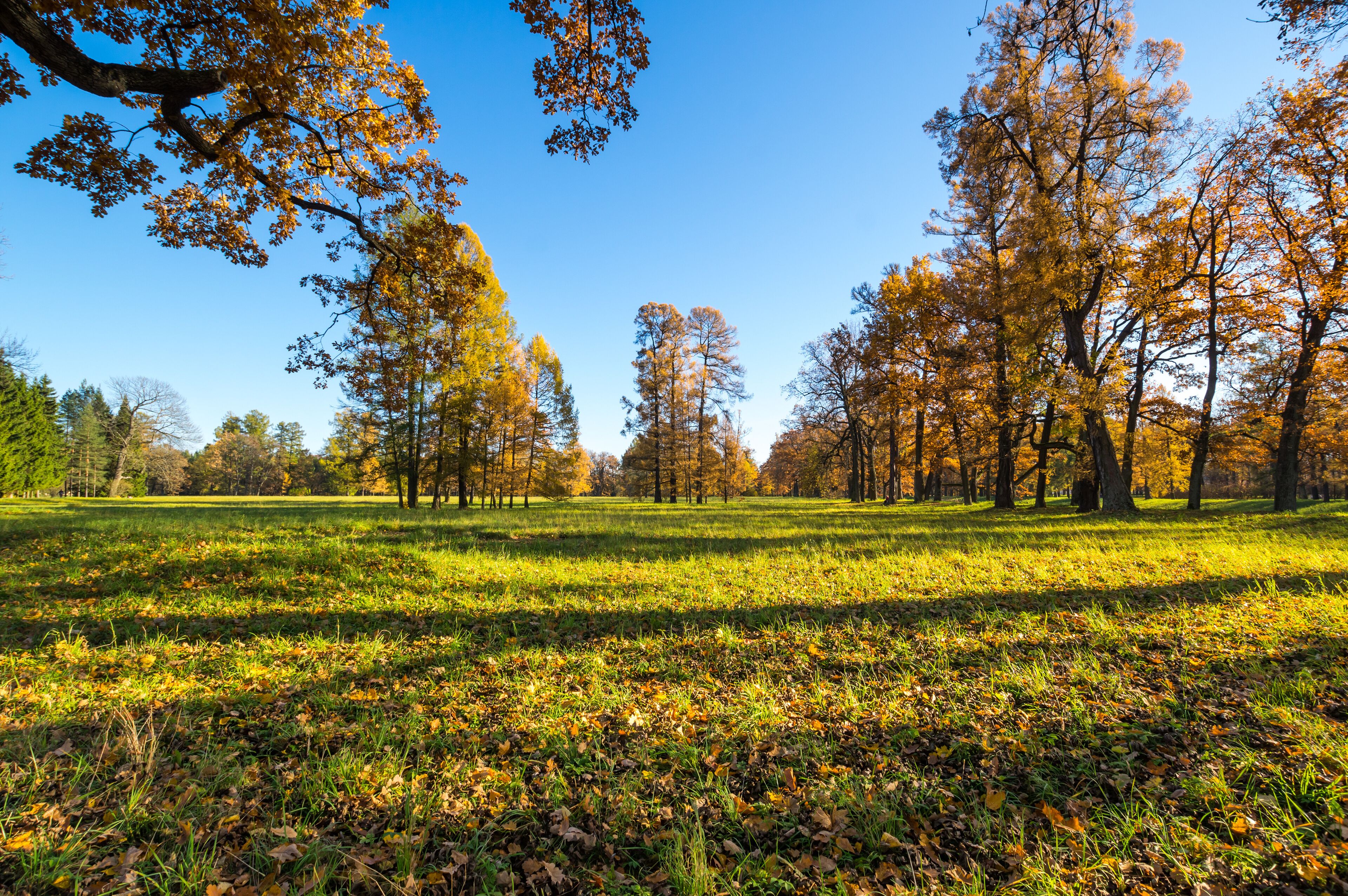 View of city park in autumn