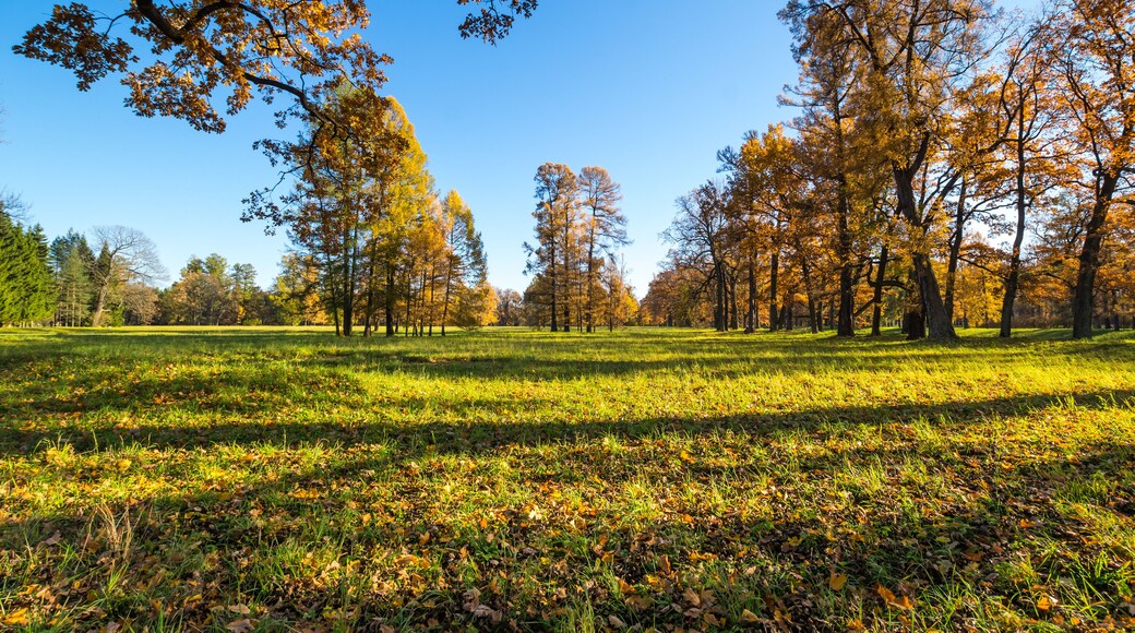 View of city park in autumn