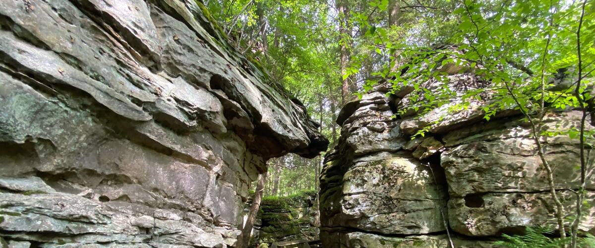 Beartown State Park - Pocahontas County, WV
