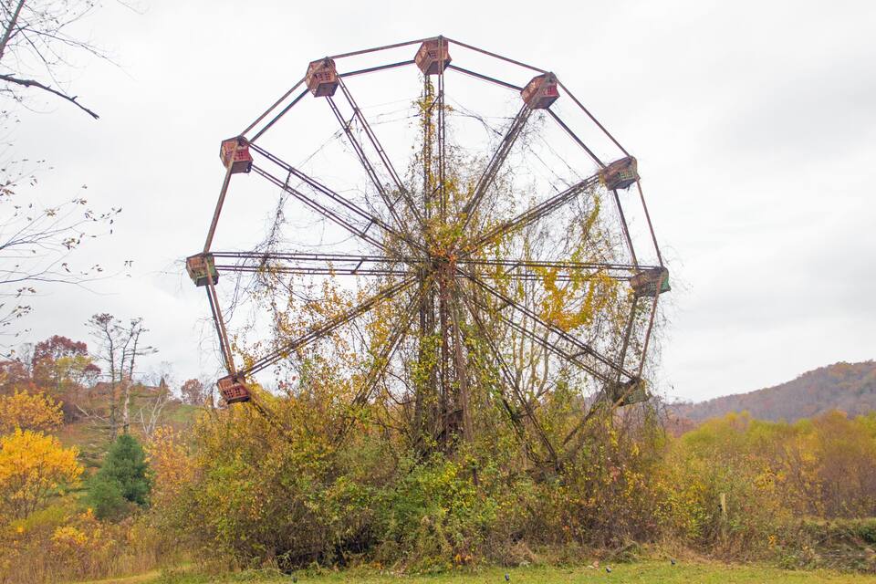 A large Ferris wheel surrounded by autumn foliage.