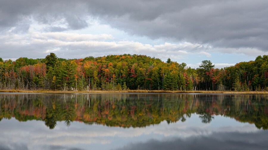 646-23 Passing Storm, Council Lake