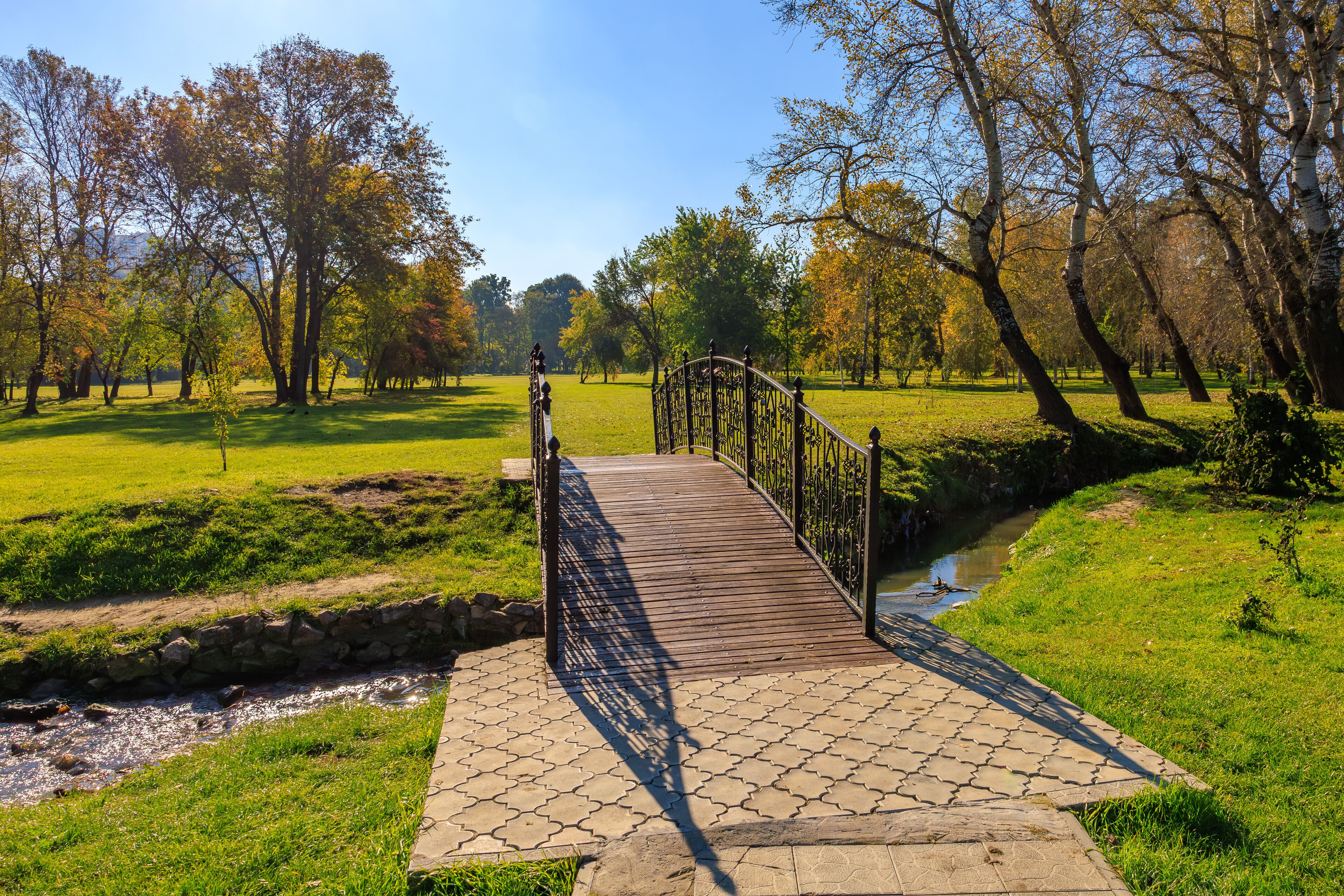 A bridge spans a small stream in a park