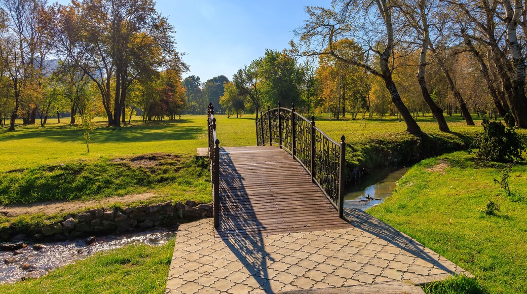 피터스버그 시티 파크