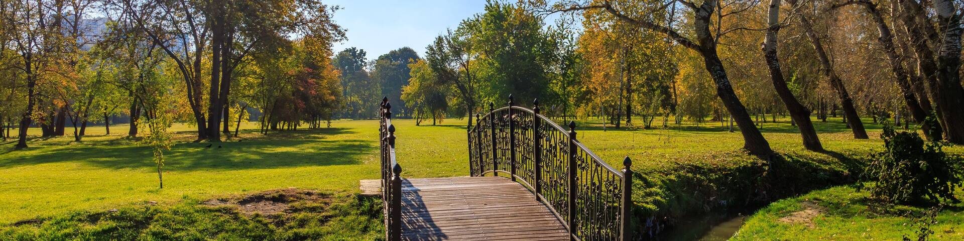 Un puente de madera sobre un arroyo en un parque con árboles y césped.