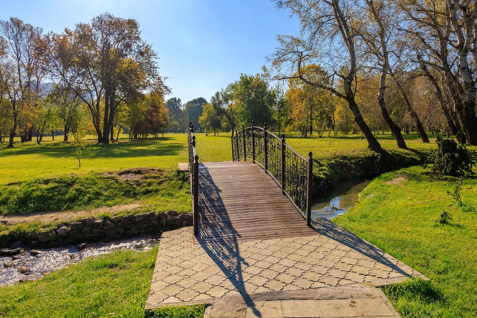 Un ponte di legno sopra un ruscello in un parco con alberi ed erba.