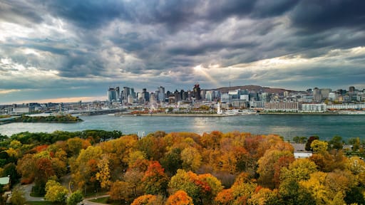 Aerial view of Montreal from Saint Helen's Island