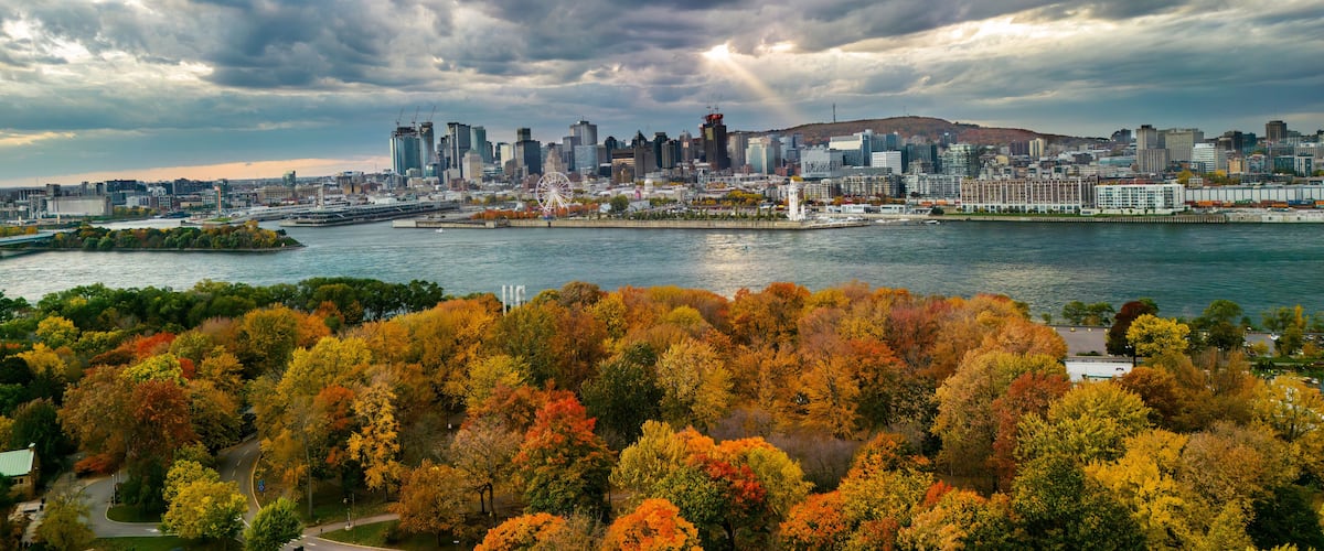 A city skyline with a river, autumn foliage, and a cloudy sky.
