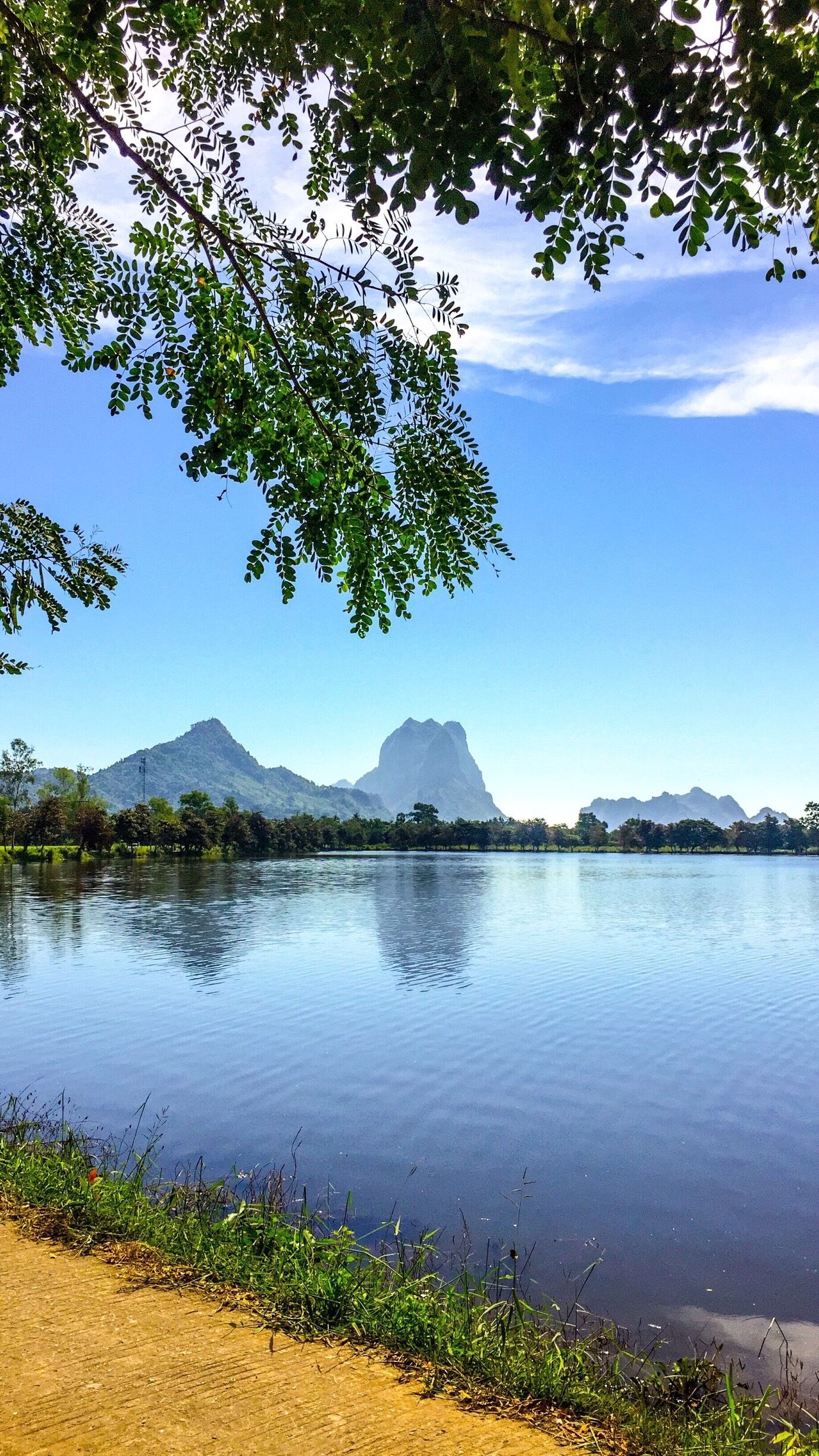 A calm lake with mountains in the background and trees in the foreground.