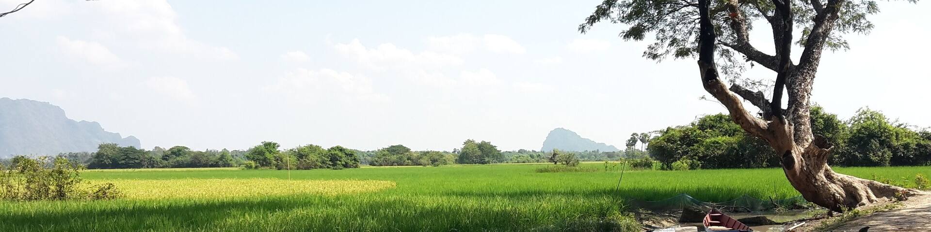 At the end of the boat ride out of Sadan Cave. Bring a torch and something to clean your feet afterwards! The little shops at the end of the boat ride are pretty nice too.
#troveon #myanmar