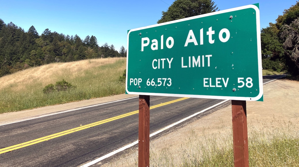 Palo Alto