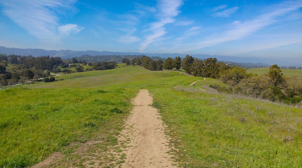 Nothing but green grass and blue skies at this Palo Alto Preserve. Parking lot full? There is some street parking towards Page Mill. #Parks