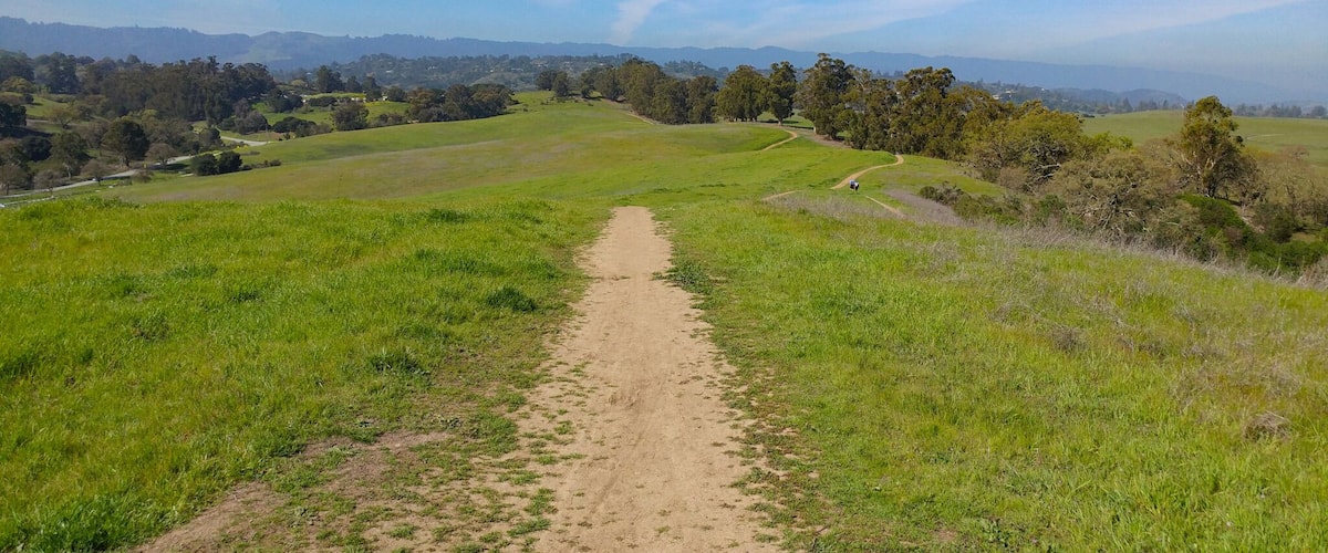 Nothing but green grass and blue skies at this Palo Alto Preserve. Parking lot full? There is some street parking towards Page Mill. #Parks