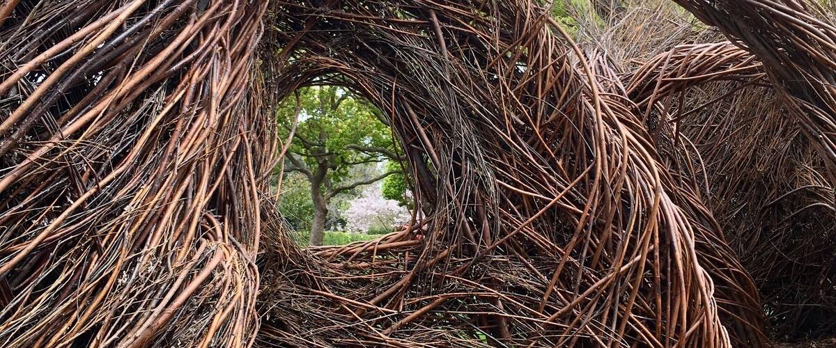 Part of the Palo Alto Art Center #parks