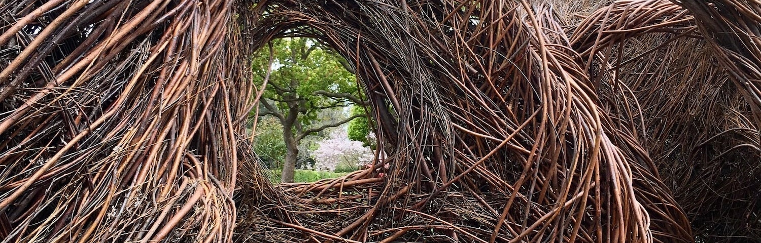 Part of the Palo Alto Art Center #parks