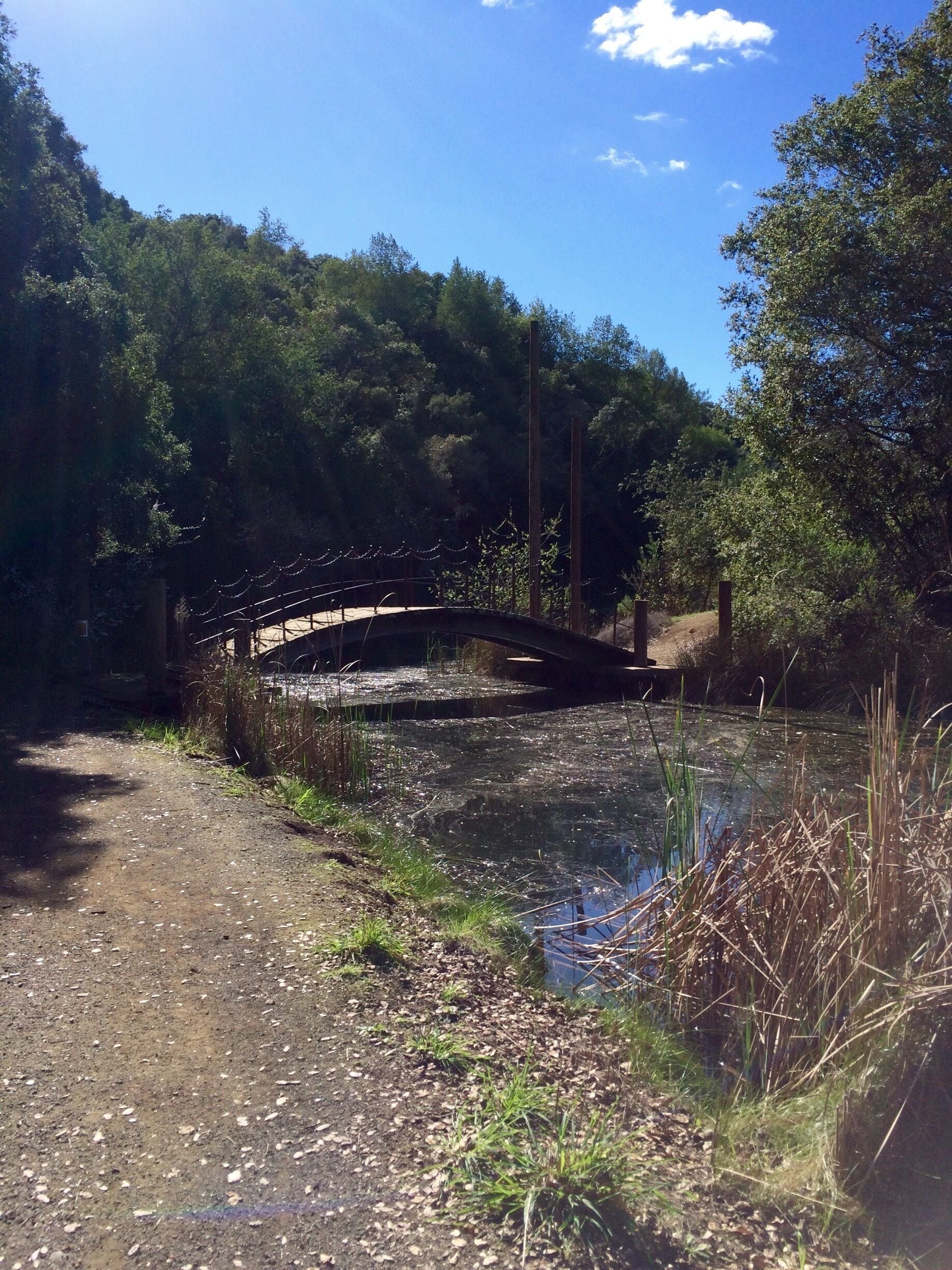 This bridge leads to a mini island. It's perfect for hide and go seek. 